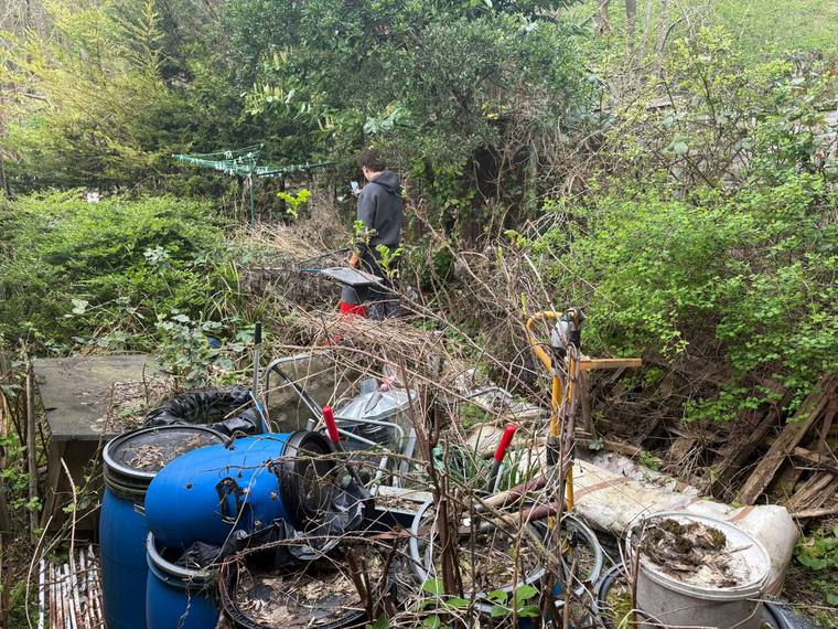 Overgrown garden before clearance