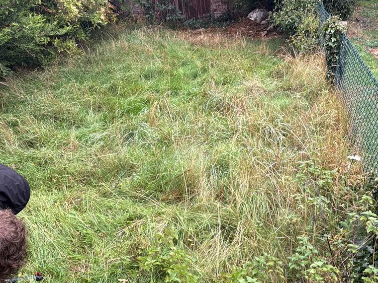 Overgrown garden with long grass and an old shed before clearance